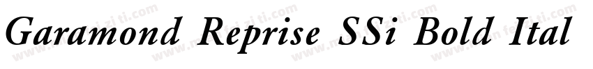 Garamond Reprise SSi Bold Italic字体转换